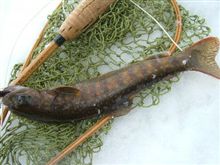 さぁ解禁です