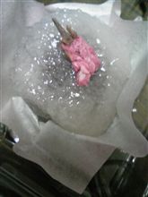 春は