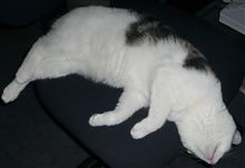 眠いな～