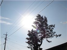 皆様おは(=ﾟωﾟ)ﾉ ぃょぅございます♪