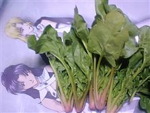 ほうれん草
