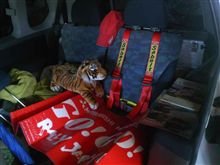 ギャグだよ、ギャグ