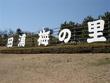 梅見