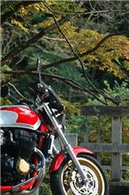 休息