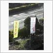 3/11おはようございます。。。