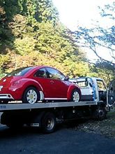 びーちゃんと私の記録・その３