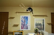 キャットウォーク