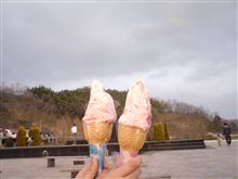 リベンジ