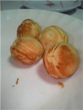 たこ焼き？？？