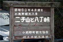 今日は