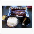 今日のランチ　
