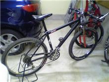 バイクいじり三昧