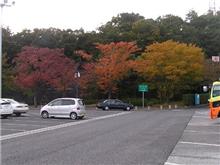 紅葉　いよいよ