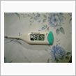 38.6℃・・・。