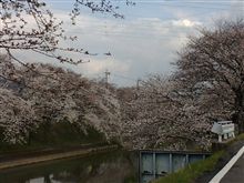 今日の寄り道☆
