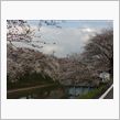 今日の寄り道☆