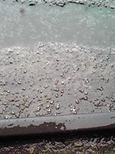 通り雨? 通り雨?