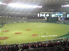 野球観戦（埼玉西武VS福岡ソフトバンク）