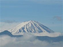 静岡に行けなかった・・・・。