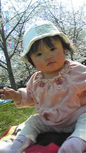 花見 