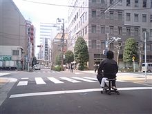 ◆◆みなさん明日は花見集合ですよ～◆◆