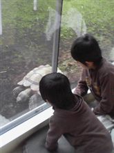 3/30けこ～ん記念日！こんちゃ！