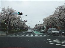 花散らし雨。