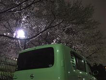 キューブと夜桜