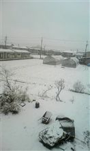 リアルタイムスノー(&#180;Ａ｀)