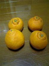 もらいもの 