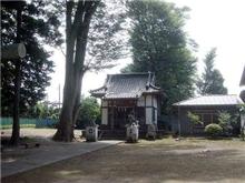 酉の市