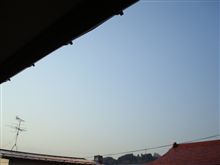 ４月５日　いい天気な週末、おはです～♪