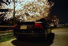 ＴＴと夜桜　2008年版