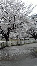 入学式