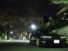 毎年恒例近所の桜【今年は夜桜】:*.;".*・;・^;・:\(*^▽^*)/:・;^・;・*.";.*: ワーイ♪ 毎年恒例近所の桜【今年は夜桜】:*.;".*・;・^;・:\(*^▽^*)/:・;^・;・*.";.*: ワーイ♪