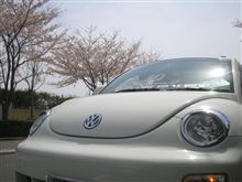 今年のSakura Tunnel Drive