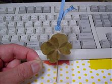 枯れた五葉の当選者は…