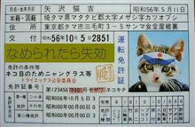 ・・・と、いう訳で、