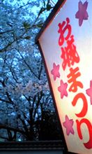 ☆会社夜サクラ☆