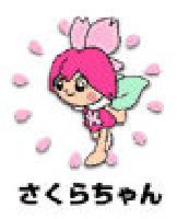 さぁ～くぅ～らぁ♪