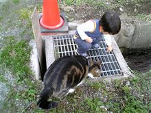 息子と戯れる猫？