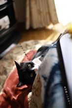 オモチャも・・・