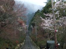 大仏オフ。