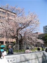 皆様お待ちかねの・・・