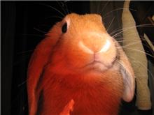 エイトの写真のはずが