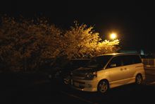 夜桜プチオフ♪