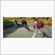 自転車好きな貴方に…