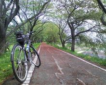 久々のサイクリング 