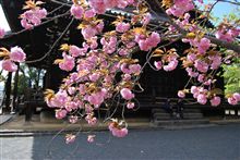 仁和寺