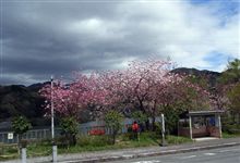 日帰り温泉